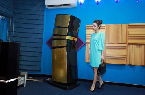 Cô cũng là một MC khá đắt show. Thời gian gần đây Jennifer Phạm còn tham gia chương trình "Cặp đôi hoàn hảo" và cặp đôi cùng ca sĩ Đức Tuấn.