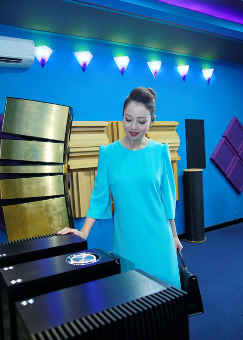 Bộ loa được thiếp vàng thủ công tại Bourbon, Lancy, Pháp. Giá của thiết bị khủng này khoảng 8,6 tỷ đồng.