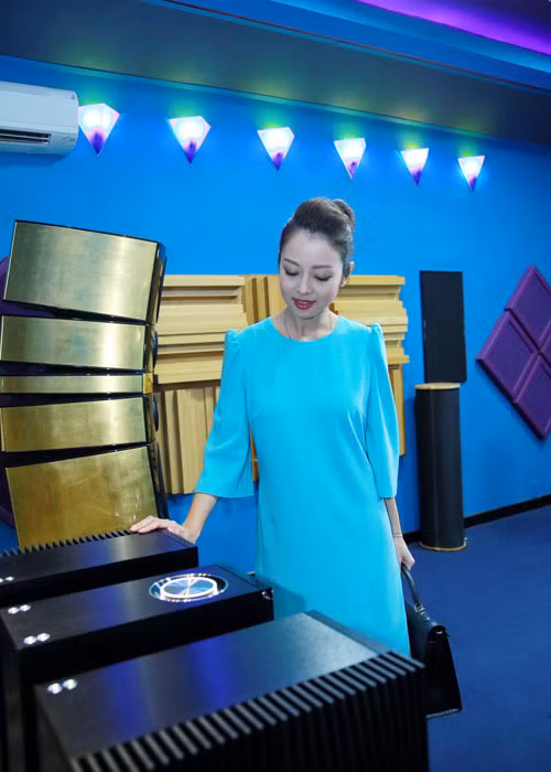 Bộ loa được thiếp vàng thủ công tại Bourbon, Lancy, Pháp. Giá của thiết bị khủng này khoảng 8,6 tỷ đồng.