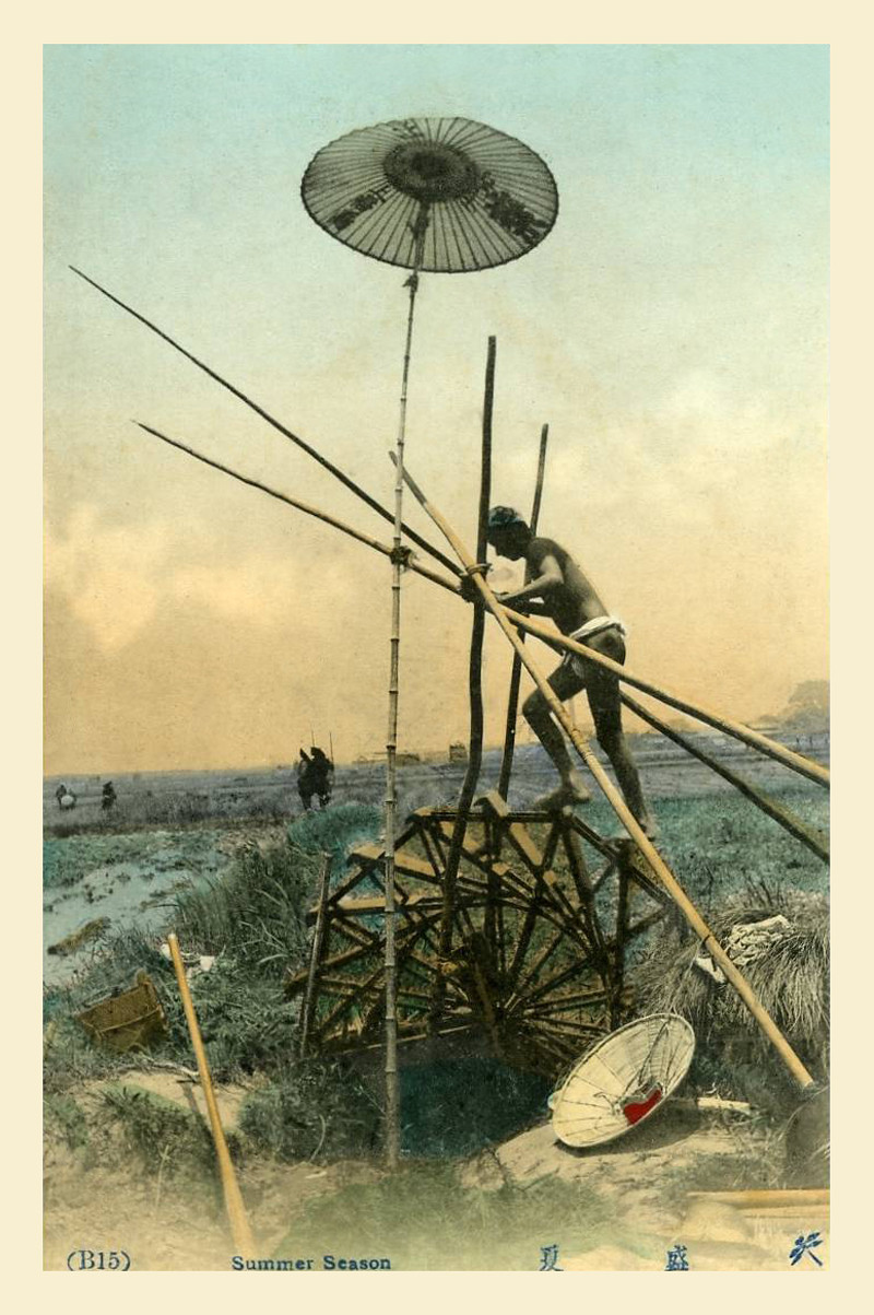 Dẫn nước vào ruộng mùa hè ở Hà Nội.