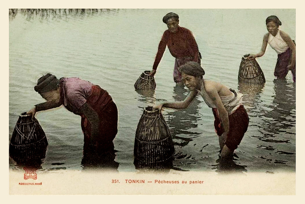 Những phụ nữ Bắc Kỳ bắt cá bằng nơm.