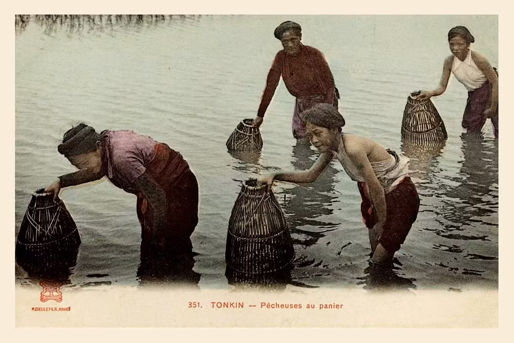 Những phụ nữ Bắc Kỳ bắt cá bằng nơm.