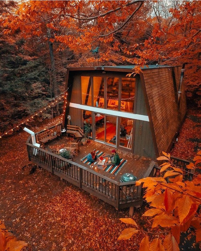 Một khu rừng lá đỏ tại New York, Mỹ