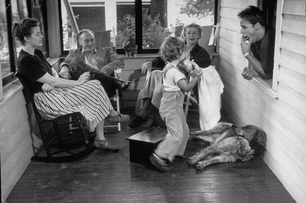 Các cháu trong gia tộc Brando cũng gặp bất hạnh đủ đường, có người sinh ra đã bị què quặt, có người bị bỏ rơi, bị từ chối… khi trưởng thành thì sa ngã trong tệ nạn hoặc gặp tai ương.