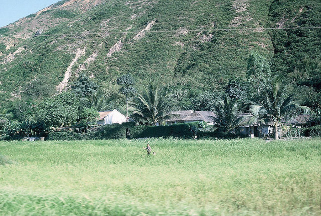Vùng nông thôn ngoại vi Quy Nhơn.