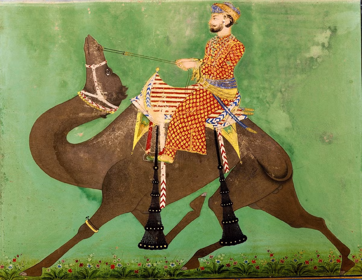 Để thuyết phục Ibn Abbad, vua Samanid đã phái 400 con lạc đà đến để mang theo tất cả các cuốn sách của ông về kinh thành, trong đó chỉ riêng các bộ từ điển cần đến 60 con lạc đà mới chở hết.