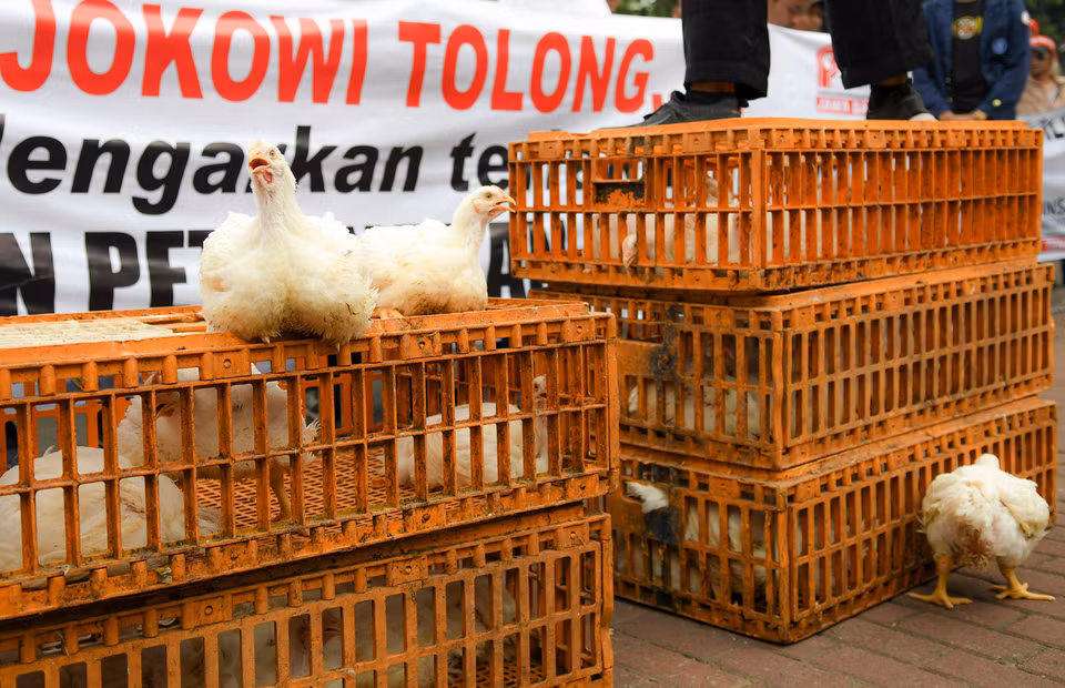 Dac sac tang ga con va hat giong giup hoc sinh “cai nghien” game