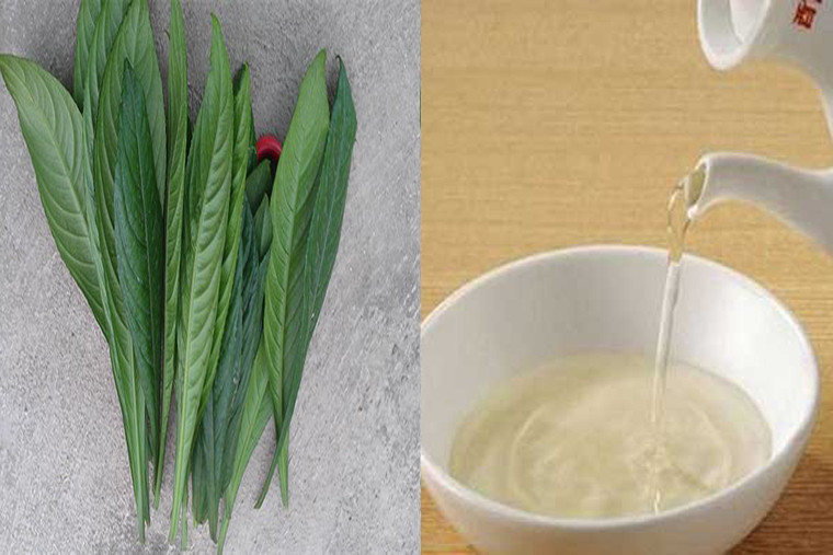 3 loai rau cu trong vuon la thuoc quy cuc tot cho xuong khop-Hinh-3