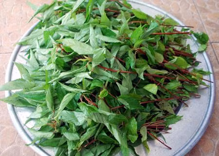 Loai rau re tien duoc vi tot nhu nhan sam moc day o Viet Nam