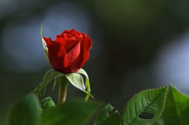 Sinh vao 3 thang Am lich nay, cuoi doi huong am no, phu quy