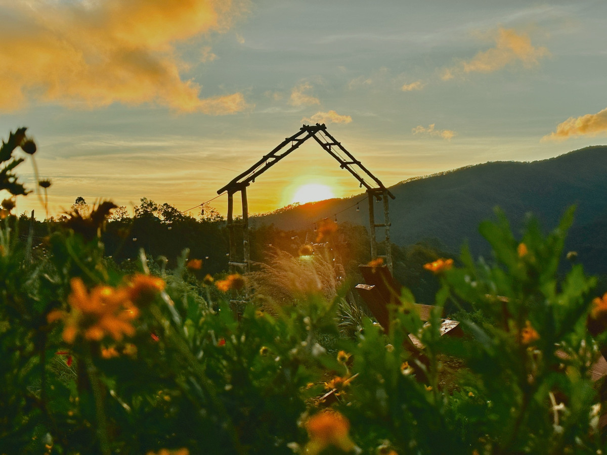 Du lich Tay Nguyen mua mua-Hinh-3