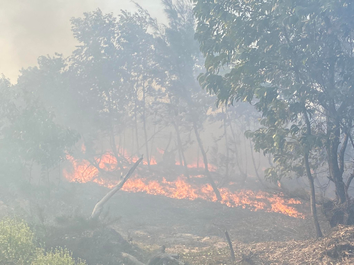 Tối 28/6, ông Phạm Công Quốc, Chủ tịch UBND xã Bình Nam (huyện Thăng Bình, tỉnh Quảng Nam) cho biết, đến khoảng 17h chiều cùng ngày, cơ quan chức năng và người dân đã dập tắt đám cháy tại khu vực rừng keo trên địa bàn.