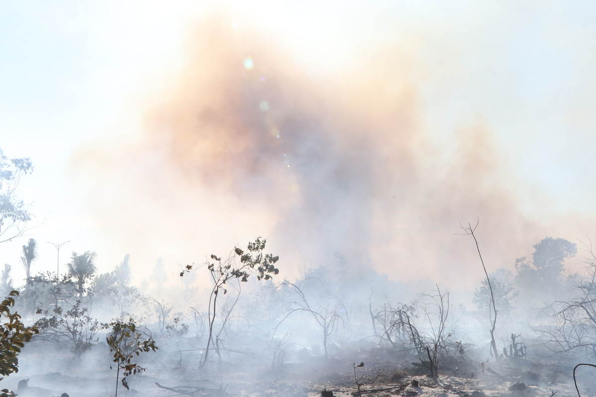 Do khu vực này có nhiều thực bì, lá cây khô kèm nắng nóng và gió to nên đám cháy lan ra khá nhanh, khói bốc cao ngùn ngụt quanh một khu vực rộng lớn.