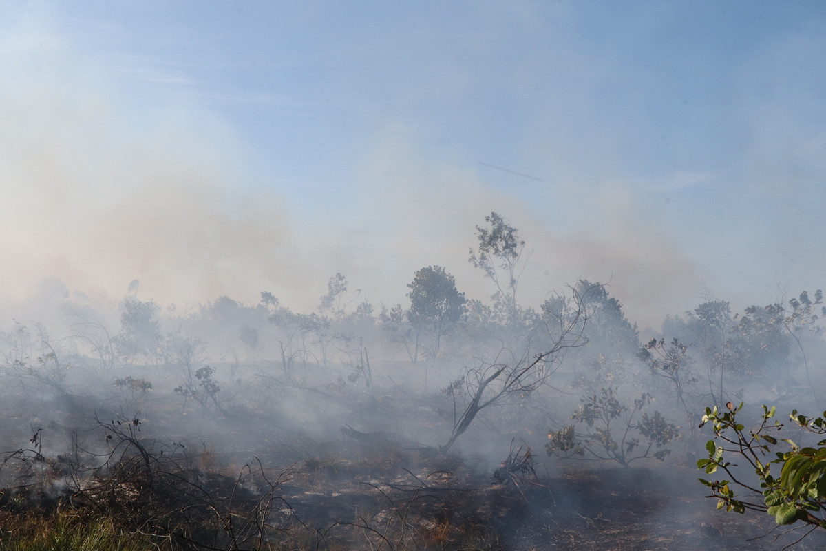 Đây là khu rừng keo của người dân và một phần là rừng phòng hộ thuộc dự án PACSA.