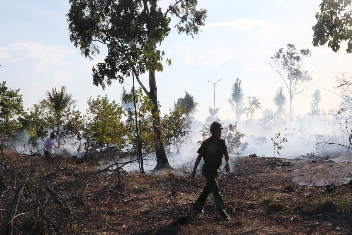 Hiện cơ quan chức năng đang thống kê thiệt hại cũng như điều tra nguyên nhân vụ cháy.