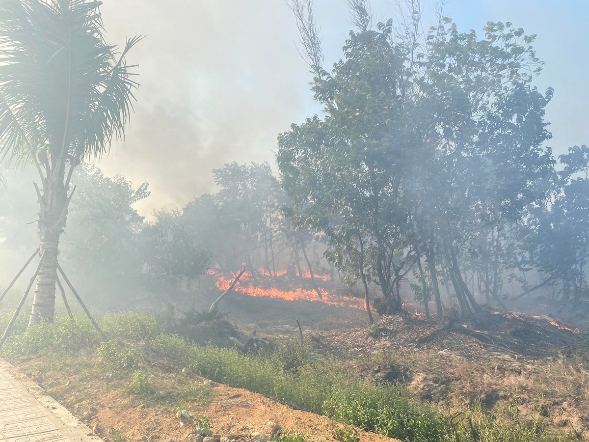 Trước đó, khoảng 16h chiều cùng ngày, địa phương tiếp nhận thông tin vụ hỏa hoạn xảy ra tại khu rừng nằm ở phía Đông đường 129. 