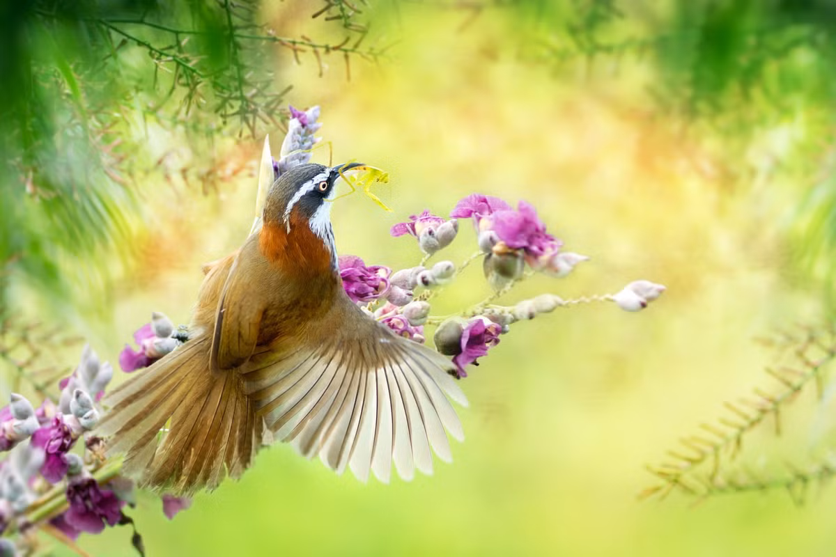 Nhan cai ket vien man trong thang 4 Am, 4 tuoi ban ron dem tien-Hinh-4