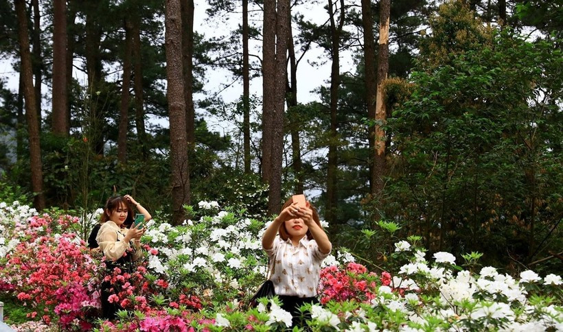 Ruc ro hoa do quyen tai le hoi lan dau tien o Vinh Phuc-Hinh-4