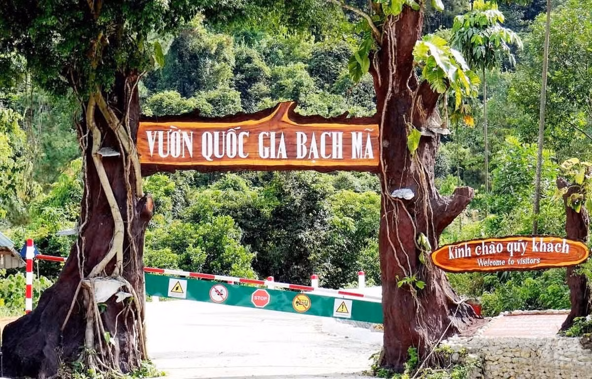 Văn phòng điều hành hiện đóng tại thị trấn Phú Lộc, huyện Phú Lộc, tỉnh TT-Huế. Ảnh: T.L