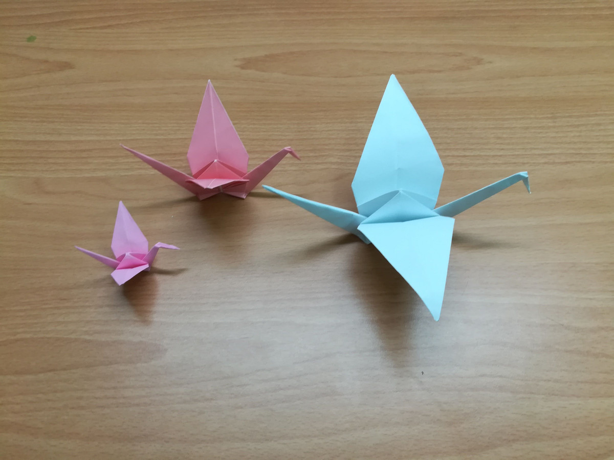 Hạc giấy Nhật Bản là con hạc được gấp từ tờ giấy hình vuông theo nghệ thuật origami truyền thống của xứ Phù Tang, có ý nghĩa đem lại may mắn, bình an, sự hồi phục sức khỏe. Từ Nhật Bản, những cánh hạc giấy đã “bay” đến mọi nơi trên thế giới, trong đó có Việt Nam.