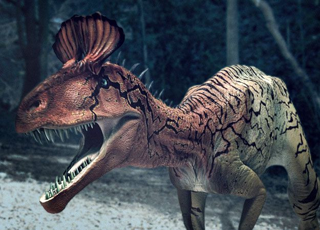 Một số người đã hóm hỉnh đặt cho nó cái tên “Elvisaurus” vì ở một số góc độ nhất định, cái mào trông khá giống mái tóc của ca sĩ huyền thoại Elvis Presley những năm 1950.