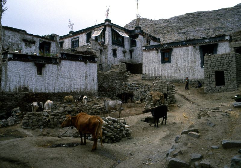 Một khu dân cư ở Shigatse.