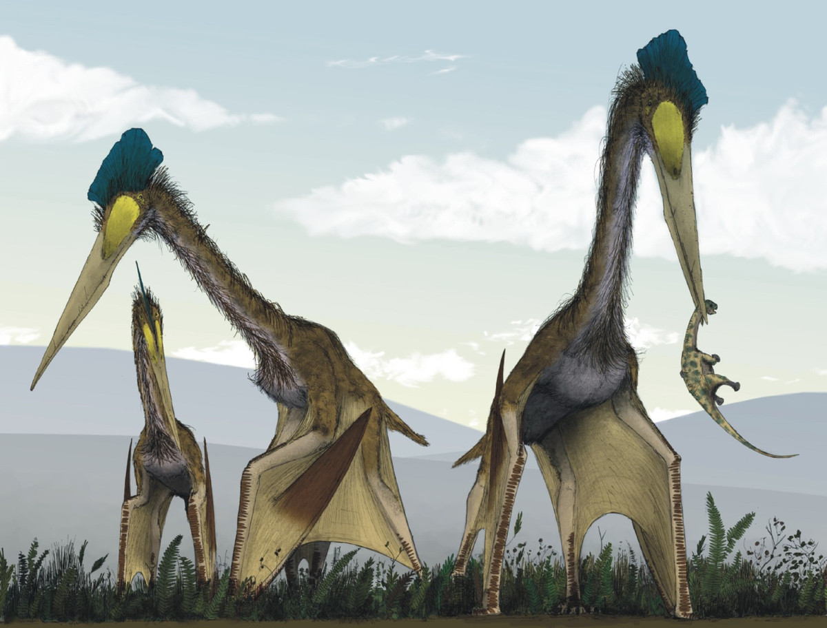 Dù có vẻ ngoài “khủng bố”, thằn lằn bay khổng lồ Quetzalcoatlus vô hại với hầu hết các loài khủng long khác do thức ăn của chúng chú yếu là cá, côn trùng và các động vật nhỏ.