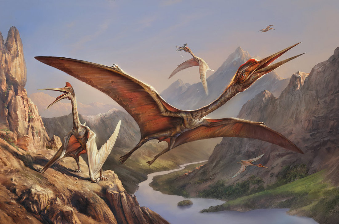 Do sải cánh quá dài, có lẽ thằn lằn bay Quetzalcoatlus phải cất cánh từ vách núi đá cao hoặc chạy đà trên mặt đất giống như một chiếc bay. Và cũng như máy bay, việc hạ cánh của Quetzalcoatlus đòi hỏi kỹ năng điêu luyện cũng như "đường băng" phù hợp, nếu không chúng sẽ bị thương khi tiếp đất.