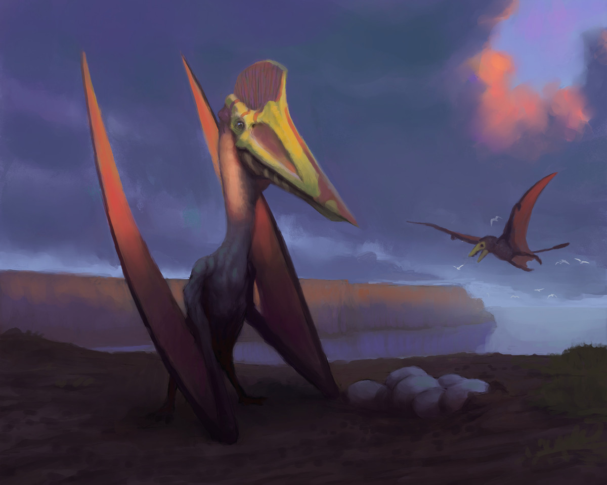 Ở trên mặt đất, Quetzalcoatlus sẽ xếp đôi cánh lại và di chuyển chủ yếu bằng hai chân sau. Khi đó, đôi cánh sẽ có vai trò như cái nạng chống, giúp chúng có được tư thế vững chãi trên mặt đất bằng phẳng cũng như vách núi.