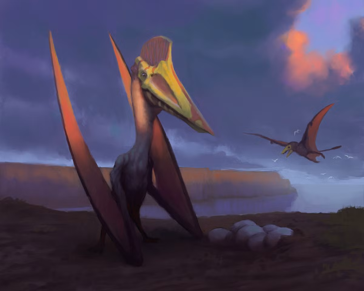 Ở trên mặt đất, Quetzalcoatlus sẽ xếp đôi cánh lại và di chuyển chủ yếu bằng hai chân sau. Khi đó, đôi cánh sẽ có vai trò như cái nạng chống, giúp chúng có được tư thế vững chãi trên mặt đất bằng phẳng cũng như vách núi.