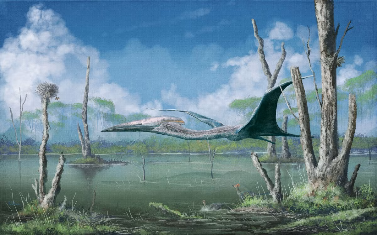 Quetzalcoatlus có trọng lượng rất nhẹ so với dáng vẻ "cồng kềnh" là nhờ bộ xương có cấu trúc rỗng. Đây cũng là yếu tố quyết định đến khả năng bay lượn của chúng.