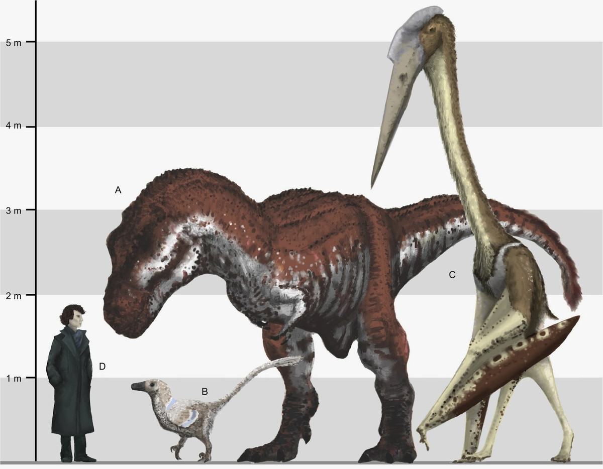 Với chiều cao 4.8-5.5 mét khi đứng thẳng, Quetzalcoatlus cao ngang hươu cao cổ, nhưng trọng lượng nhẹ hơn nhiều, từ 210–250 kg. Sải cánh của chúng rộng đến 10 mét, một tương đương một chiếc máy bay du lịch cỡ nhỏ.