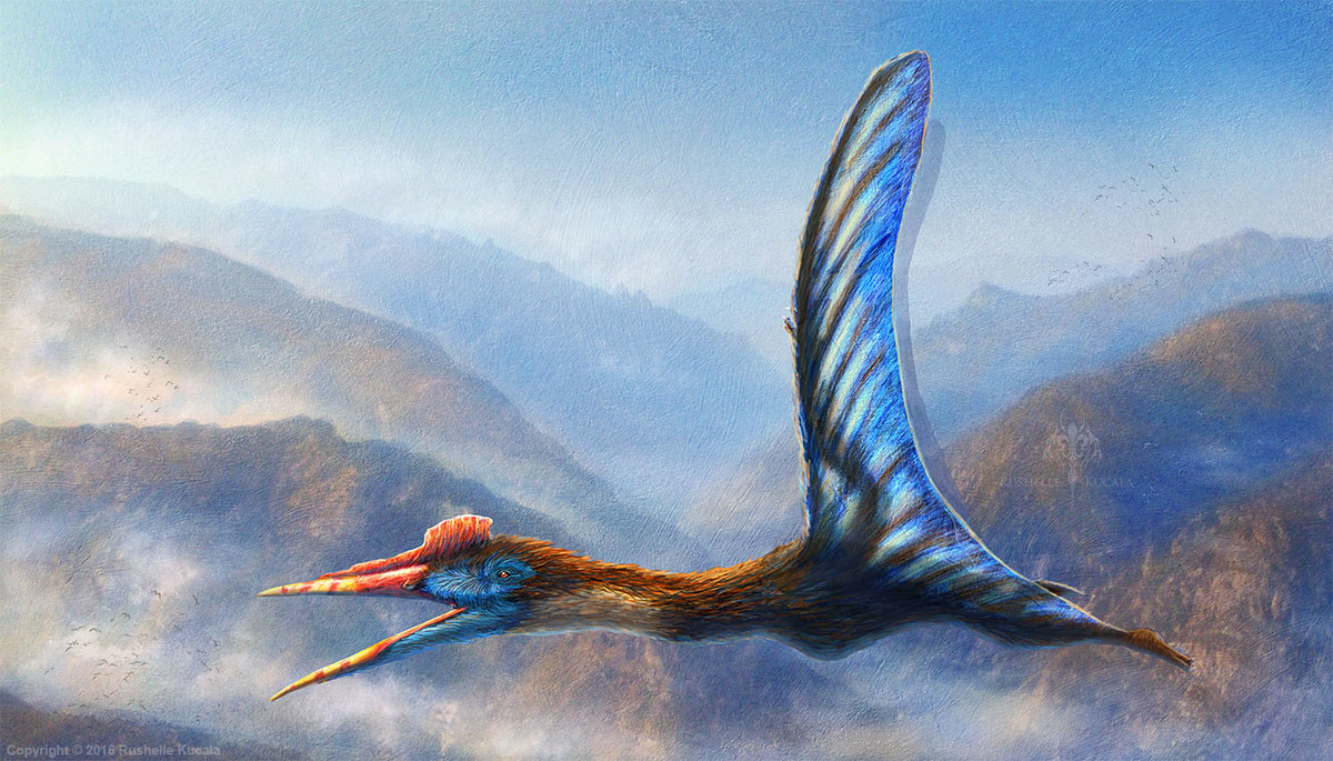 Trong các loài vật tung cánh trên bầu trời, thằn lằn bay Quetzalcoatlus là loài lớn nhất từng được biết đến từ trước đến nay.