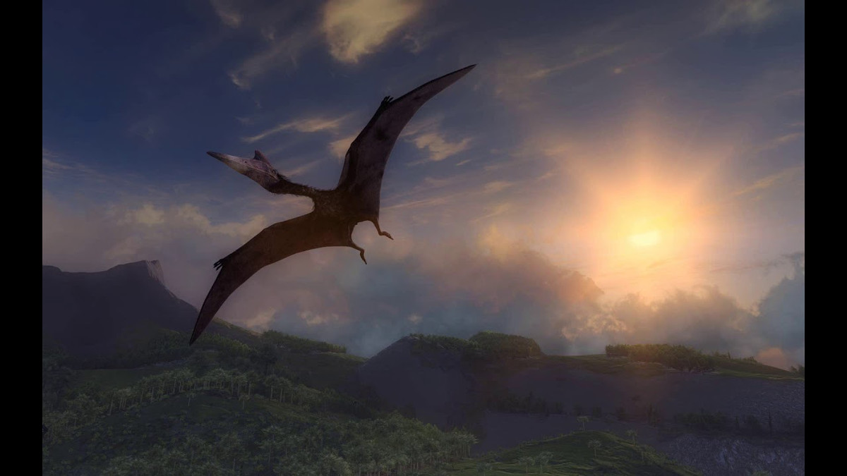 Chúng thuộc về một chi của họ Azhdarchidae, gồm các loài thằn lằn bay không răng có cổ dài, sống vào cuối kỷ Creta ở Bắc Mỹ (cách đây khoảng 68 - 65.5 triệu năm).