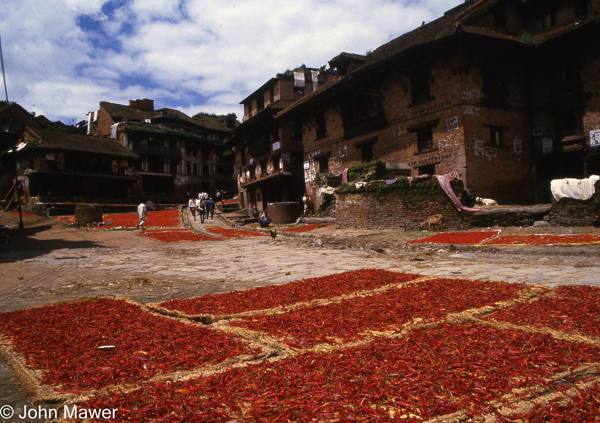 Phơi ớt ở một khu dân cư.