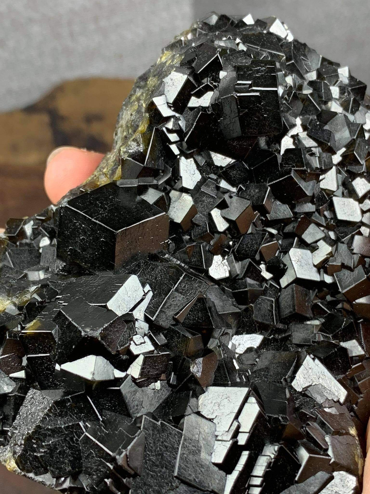 Chang trai Hai Phong chi tram trieu dong suu tam tinh the da quy-Hinh-2