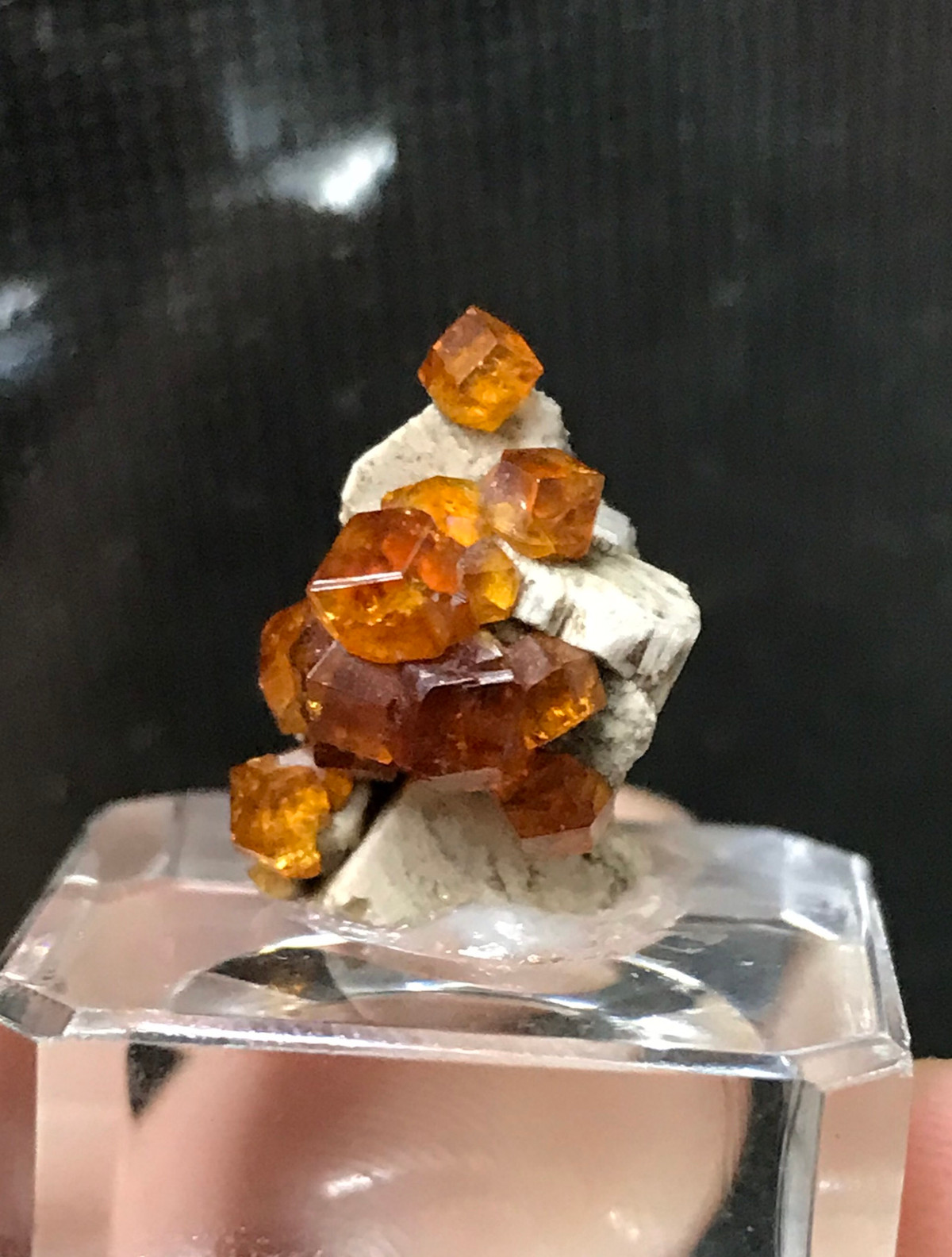 Chang trai Hai Phong chi tram trieu dong suu tam tinh the da quy-Hinh-3