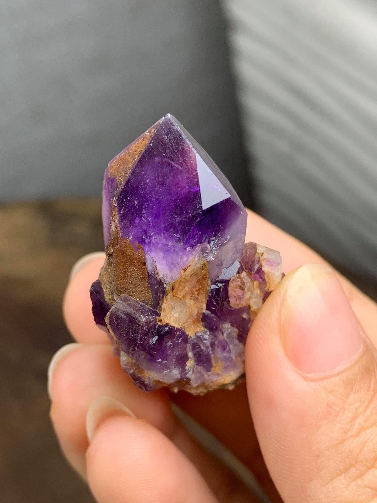 Chang trai Hai Phong chi tram trieu dong suu tam tinh the da quy-Hinh-4