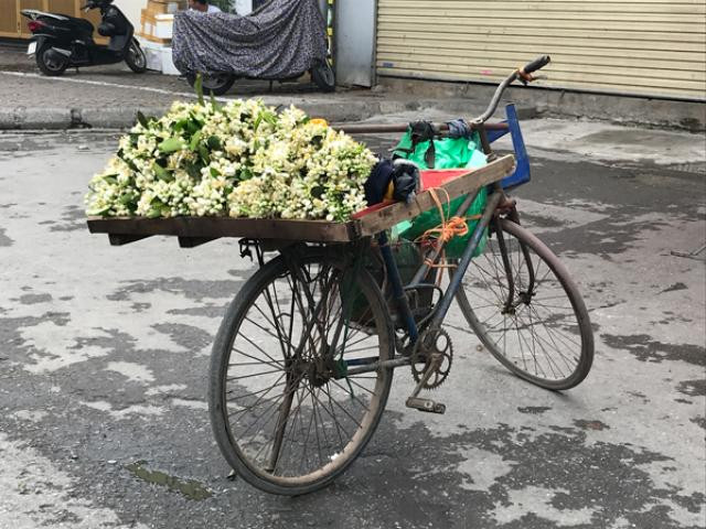 Ngày 8/3, xuất hiện hoa hồng mạ vàng giá chỉ 10.000 đồng/bông - Hình 4 Ngay 8/3, xuat hien hoa hong ma vang gia chi 10.000 dong/bong-Hinh-4