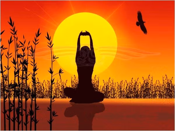 Biet chap nhan se binh yen!