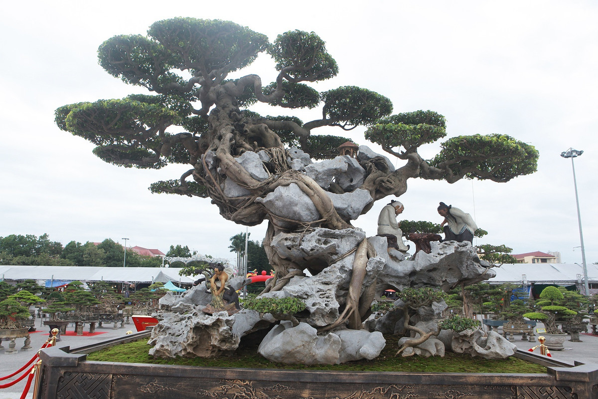 Nuoi loai ong kich doc, thuong lai Trung Quoc lung mua-Hinh-4