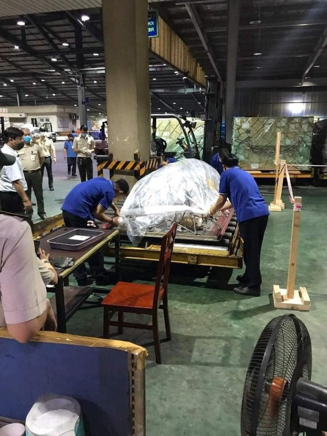 “Thấy hình ảnh đó, tôi sợ chị Phương Loan sẽ quá xúc động“ - Hình 4 “Thay hinh anh do, toi so chi Phuong Loan se qua xuc dong“-Hinh-4