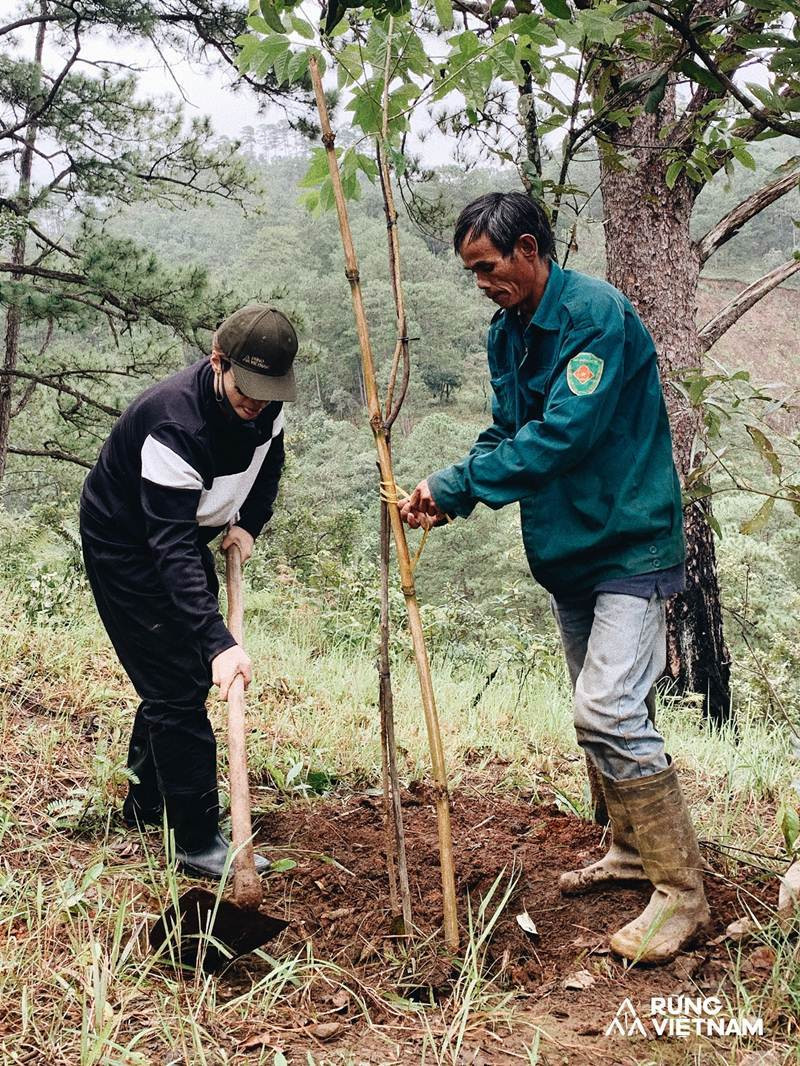 Ha Anh Tuan trong 1.800 cay rung o Lam Dong, Da Nang-Hinh-3