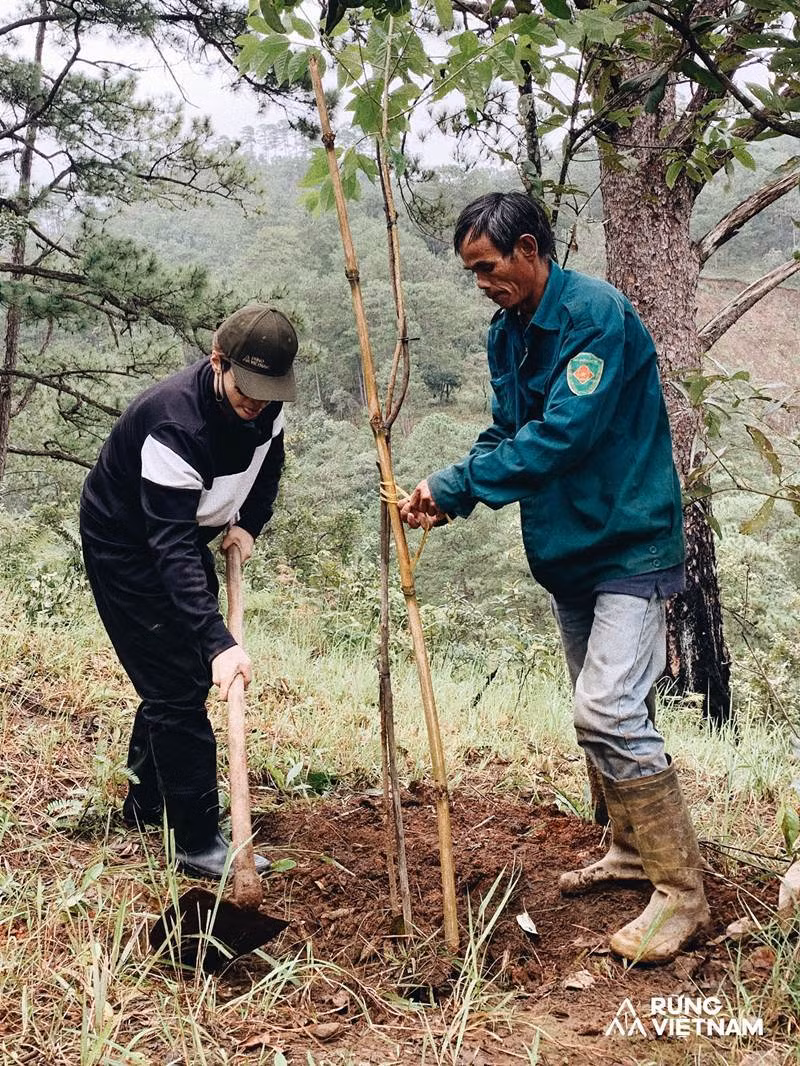 Ha Anh Tuan trong 1.800 cay rung o Lam Dong, Da Nang-Hinh-3