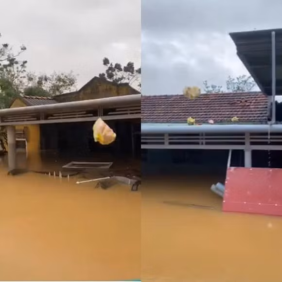 Doan cuu tro bi trach vi nem qua cho dan, Huynh Phuong noi gi?