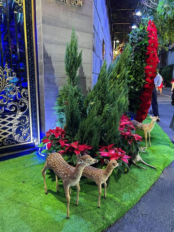 Anh dành nhiều thời gian để mua các vật dụng ưng ý nhất và lên ý tưởng thiết kế, bài trí tổ ấm tràn ngập không khí Giáng sinh.