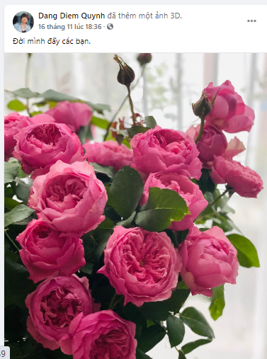 ##s###Bên cạnh đó, nữ MC đăng tải thêm nhiều hình ảnh yêu đời, tràn đầy năng lượng tích cực gửi tới khán giả. 