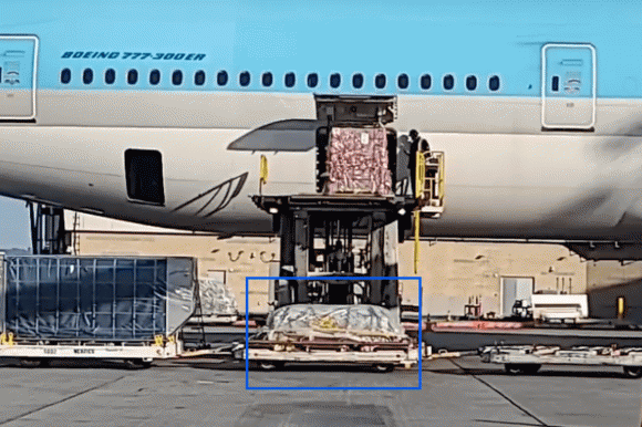 Nhoi long thi hai NS Chi Tai chuyen tu may bay xuong tai My-Hinh-3