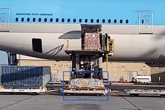 Nhoi long thi hai NS Chi Tai chuyen tu may bay xuong tai My-Hinh-3