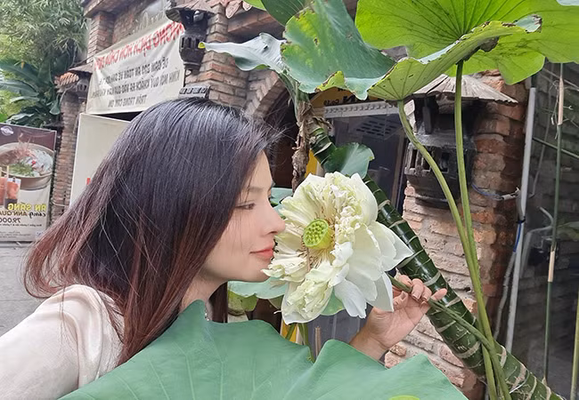 Vũ Thu Phương cảm thấy thanh thản, nhẹ lòng khi ngắm đóa sen Quan Âm vừa nở trước hiên nhà.